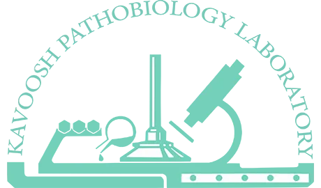 آزمایشگاه کاوش